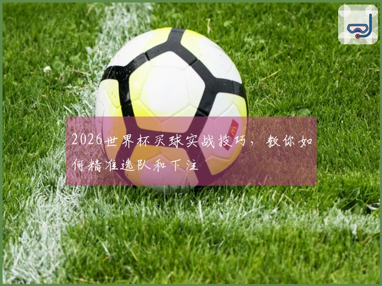 2026世界杯买球实战技巧，教你如何精准选队和下注