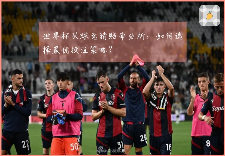 世界杯买球竞猜赔率分析,如何选择最优投注策略?