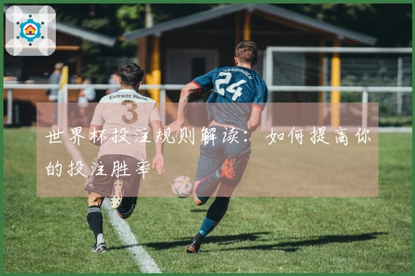 世界杯投注规则解读：如何提高你的投注胜率