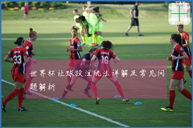 世界杯让球投注玩法详解及常见问题解析