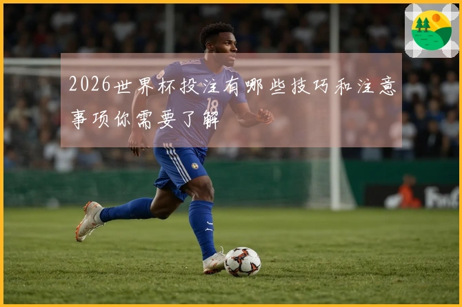 2026世界杯投注有哪些技巧和注意事项你需要了解