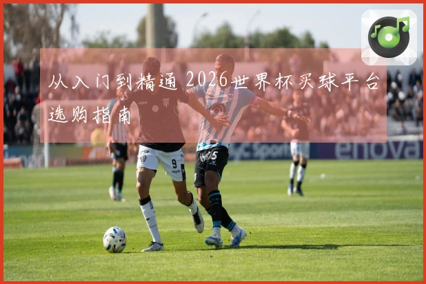 从入门到精通 2026世界杯买球平台选购指南