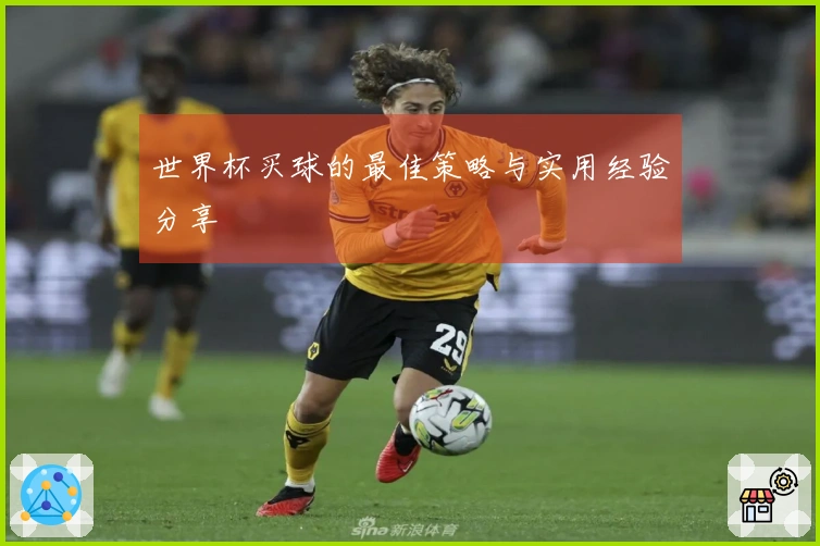 世界杯买球的最佳策略与实用经验分享