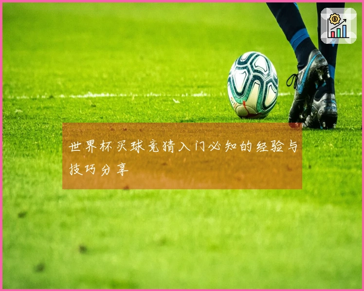 世界杯买球竞猜入门必知的经验与技巧分享
