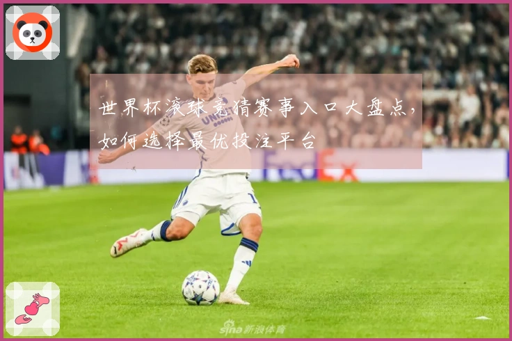 世界杯滚球竞猜赛事入口大盘点，如何选择最优投注平台