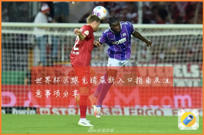 世界杯买球竞猜最新入口指南及注意事项分享