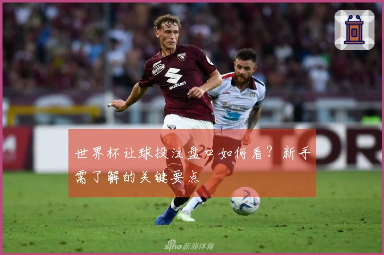 世界杯让球投注盘口如何看？新手需了解的关键要点