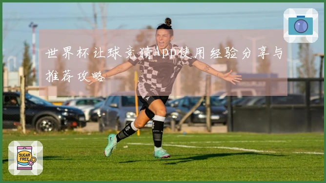 世界杯让球竞猜App使用经验分享与推荐攻略