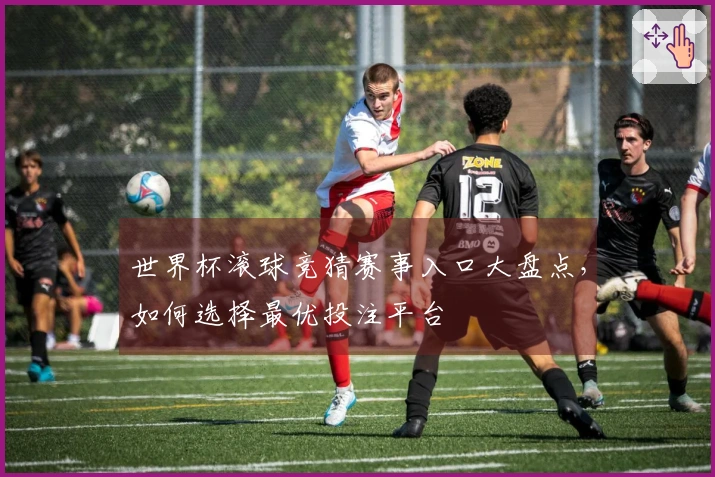 世界杯滚球竞猜赛事入口大盘点，如何选择最优投注平台