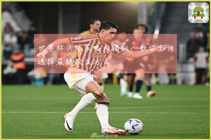 世界杯买球策略大揭秘，教你如何选择最稳投注方式