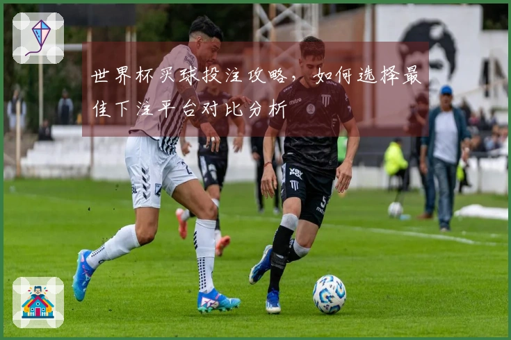 世界杯买球投注攻略，如何选择最佳下注平台对比分析