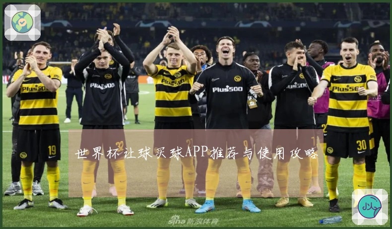 世界杯让球买球APP推荐与使用攻略