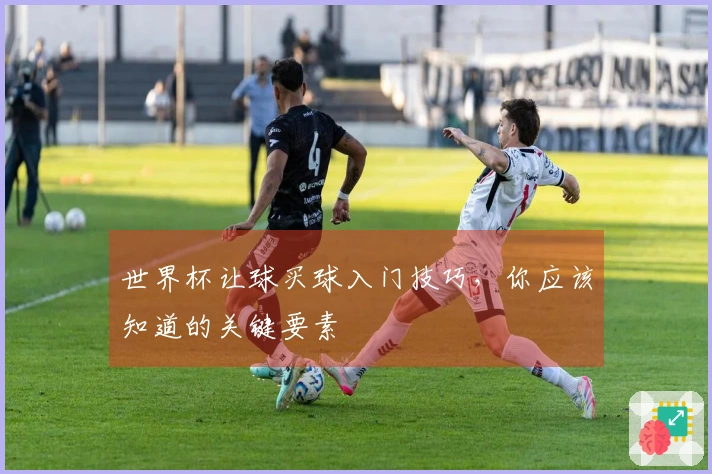 世界杯让球买球入门技巧，你应该知道的关键要素