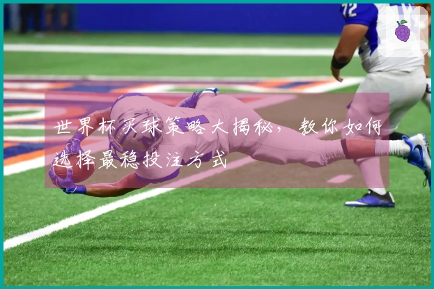 世界杯买球策略大揭秘，教你如何选择最稳投注方式