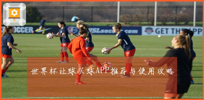 世界杯让球买球APP推荐与使用攻略